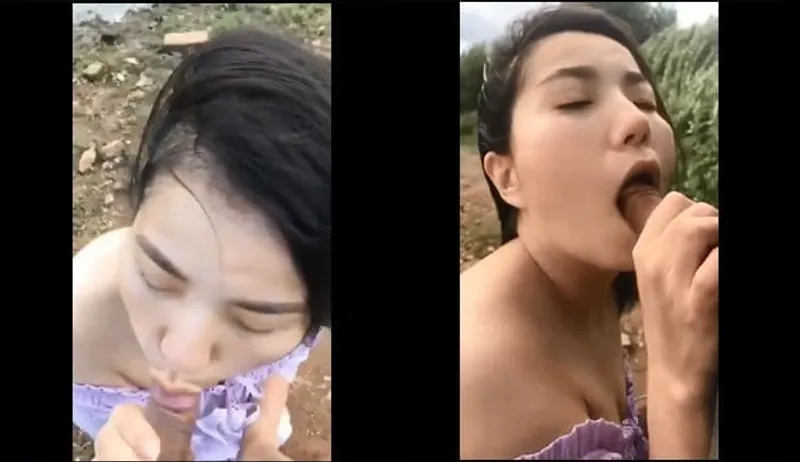 Bồ bj cho gấu bên bờ sông
